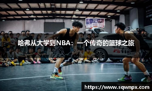 哈弗从大学到NBA：一个传奇的篮球之旅